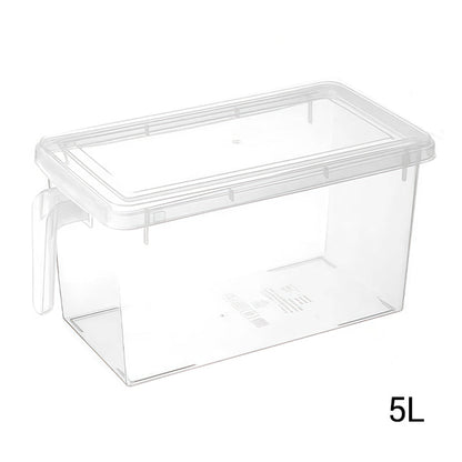 Transparent Matförvaringsbehållare med Lock